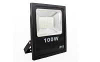 ������������ ��������� 100 w